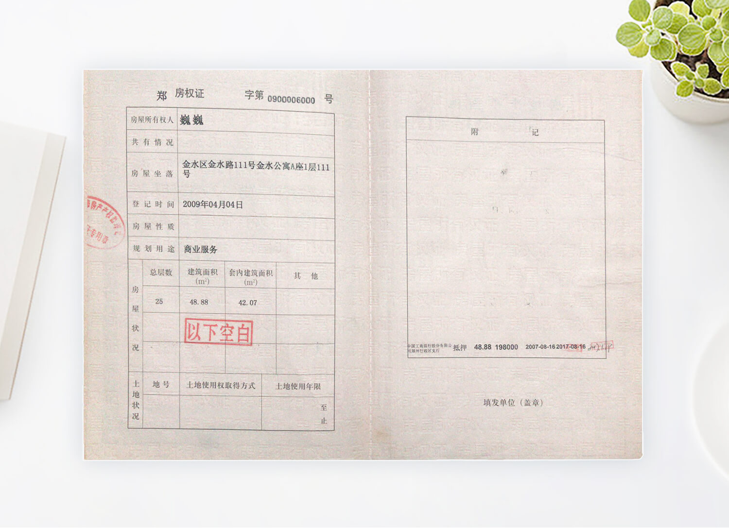 驾驶证样式参考
